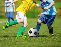 全球当下最,前沿的文学,有何风貌,英雄联盟S14赛季竞猜大厅,英雄联盟S15赛季竞猜大厅,LOL英雄联盟竞猜大厅,LOL英雄联盟竞猜平台