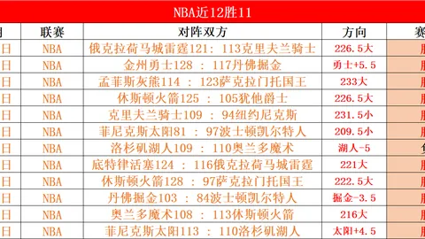 丙烷喷枪喷火器版特价半价促销